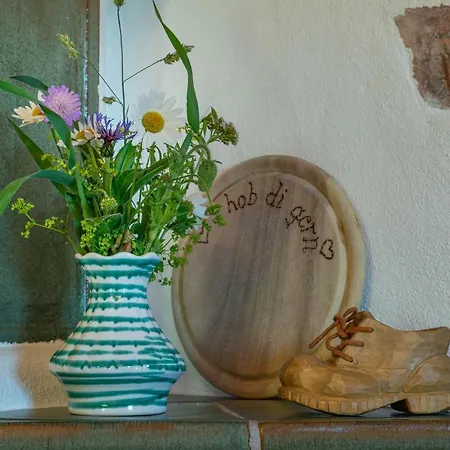 Bio Schartenalm * Mühlbach am Hochkönig