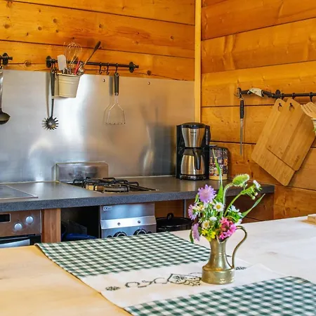 Bio Schartenalm Dağ evi