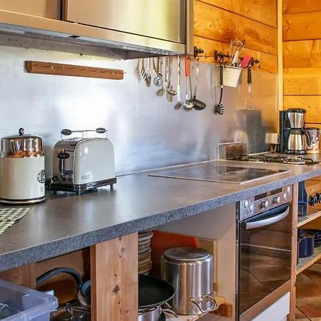 Dağ evi Bio Schartenalm Mühlbach am Hochkönig