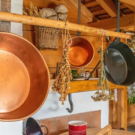 Dağ evi Bio Schartenalm Mühlbach am Hochkönig