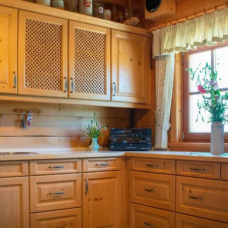 Bio Schartenalm Dağ evi Mühlbach am Hochkönig