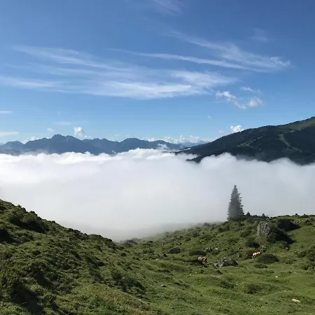 Bio Schartenalm * Mühlbach am Hochkönig
