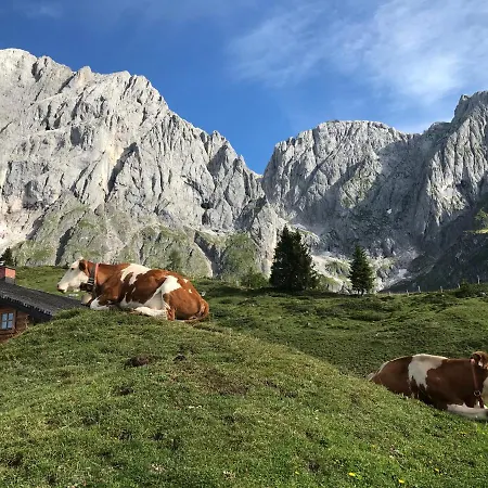 Bio Schartenalm Dağ evi