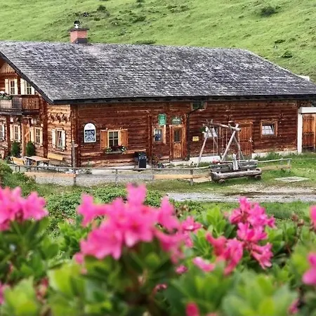 Dağ evi Bio Schartenalm Mühlbach am Hochkönig