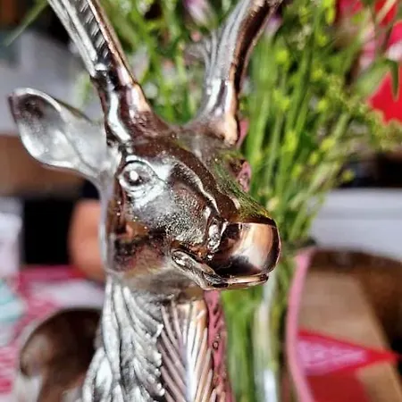 Bio Schartenalm * Mühlbach am Hochkönig