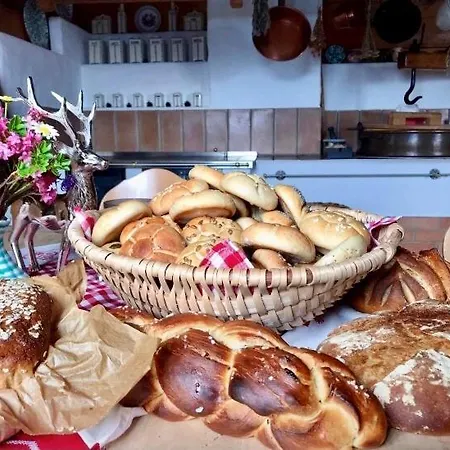 Bio Schartenalm Dağ evi Mühlbach am Hochkönig