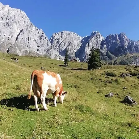 Chalet Bio Schartenalm Mühlbach am Hochkönig
