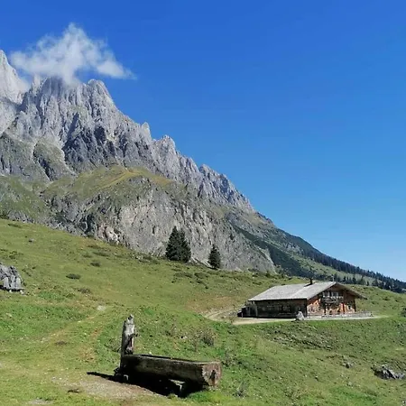 Bio Schartenalm Mühlbach am Hochkönig