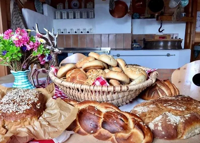 Bio Schartenalm Chalet Muhlbach Am Hochkonig